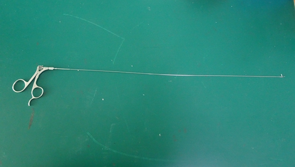 R.WOLF8952.611鼠齒抓鉗維修 600小 水印 1070.jpg